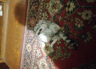 Продается 1-ком. квартира, 35.3 м2, Россошь, Линейная улица, 15