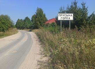 Продаю земельный участок, 14 сот., деревня Прусынская Горка