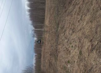 Продам дом, 49 м2, деревня Гашки