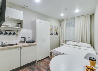 Сдается в аренду квартира студия, 13 м2, Санкт-Петербург, Разъезжая улица, 4, Разъезжая улица