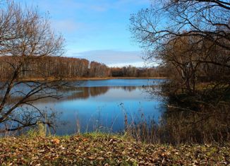 Продаю участок, 10 сот., деревня Замятлино, Малиновая улица