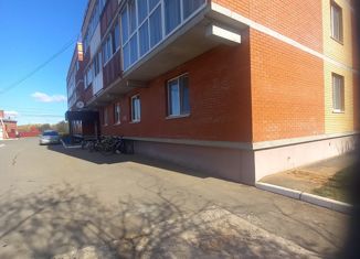 Продается квартира студия, 25 м2, село Завьялово, Коммунальная улица, 11