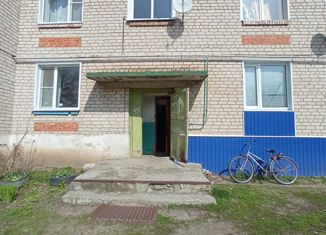 Продаю 2-комнатную квартиру, 50.1 м2, село Евстратовка, Молодёжная улица, 1