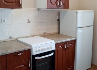 Сдается в аренду 1-ком. квартира, 40 м2, Санкт-Петербург, улица Ворошилова, 29к2, ЖК Ладожский Парк