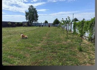 Продается земельный участок, 20 сот., деревня Настасьино, улица Витольдина