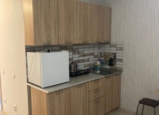 Квартира на продажу студия, 26.8 м2, Зеленодольск, проспект Строителей, 8