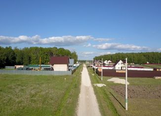 Продам участок, 19.19 сот., СНТ Земляничное