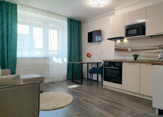 Продается квартира студия, 22.4 м2, Мурино, улица Шоссе в Лаврики, 72к3, ЖК Северный