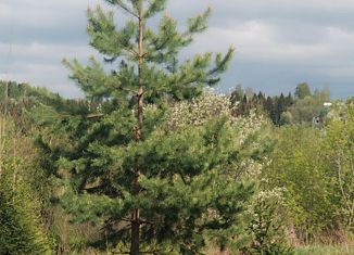 Продается участок, 6 сот., Пермь, Индустриальный район, СНТ Нагорный-2, 142