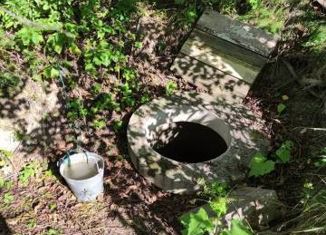 Дом на продажу, 25 м2, посёлок Трудовое, СНТ Пенсионер, 230