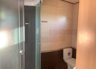 Продается 3-комнатная квартира, 40 м2, село Криуша, Сосновая улица, 13