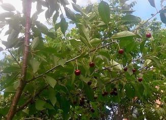 Продажа участка, 6 сот., садовое товарищество Ритм, садовое товарищество Ритм, 35