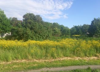 Продаю земельный участок, 15 сот., село Зиняки