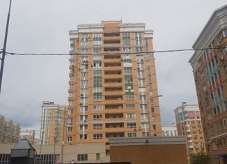 Продам двухкомнатную квартиру, 64 м2, Москва, 6-я Радиальная улица, 3к8, ЖК Царицыно