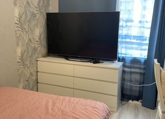 Продажа 1-ком. квартиры, 34 м2, Кудрово, Пражская улица, 4, ЖК Парклэнд