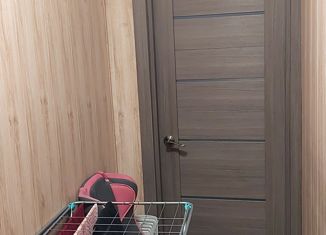 Продажа 3-комнатной квартиры, 66.6 м2, посёлок Петряевка, Восточная улица, 26