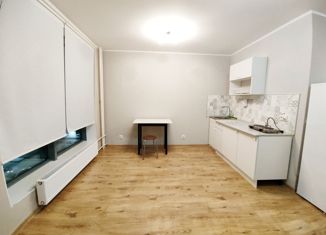 Продажа квартиры студии, 25.9 м2, посёлок Парголово, Толубеевский проезд, 8к2