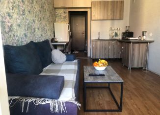 Продаю квартиру студию, 21.6 м2, село Зубово, улица Бориса Перина, 1