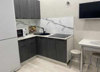 Аренда квартиры студии, 21 м2, Сыктывкар, Октябрьский проспект, 220, ЖК Атлантида