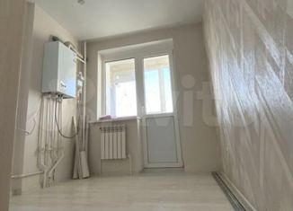 Продажа однокомнатной квартиры, 25.4 м2, деревня Крутые Выселки, Лучезарная улица, 10А, ЖК Изумрудный Город