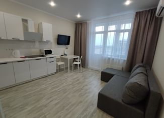 Сдаю квартиру студию, 26.7 м2, Краснодар, улица Григория Булгакова, 6, микрорайон Достояние