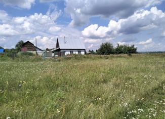 Продается дом, 53 м2, село Половинка, Центральная улица, 85А