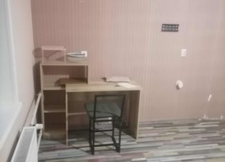 Сдаю в аренду квартиру студию, 26 м2, Челябинск, улица Толбухина, 5