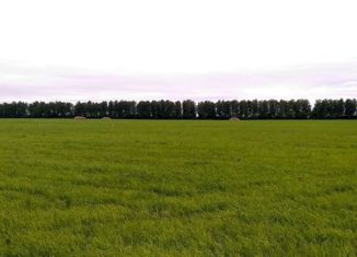 Участок на продажу, 1000 сот., село Музяк, Мирная улица