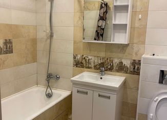 Однокомнатная квартира в аренду, 38 м2, Московский, улица Бианки, 3к1