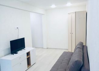 1-ком. квартира в аренду, 27 м2, Юрга, улица Кирова, 27