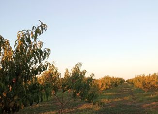 Продаю участок, 626 сот., Николаевское сельское поселение