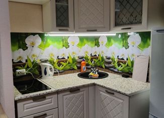 Продается квартира студия, 20.7 м2, поселок Зональная Станция, Ягодная улица, 1