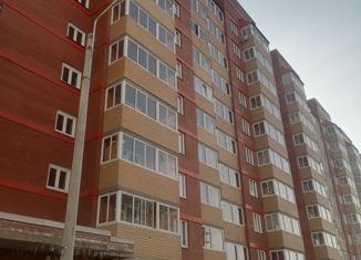 Сдам 1-ком. квартиру, 42 м2, Сосновоборск, Солнечная улица, 47