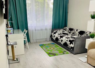 Продам 1-ком. квартиру, 31 м2, Алексеевка, улица Пушкина, 43