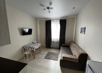 Продам квартиру студию, 17.2 м2, Ростов-на-Дону, 2-я Масштабная улица, 55, Первомайский район