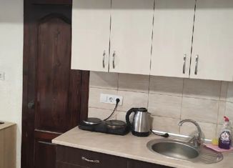 Продам квартиру студию, 28 м2, село Орёл-Изумруд, улица Гастелло, 40А