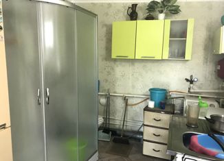 Продается дом, 45 м2, садоводческое некоммерческое товарищество Пионер, Абрикосовая улица