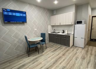 Сдается квартира студия, 27 м2, Великие Луки, улица Гоголя, 15