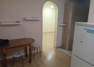 Продается однокомнатная квартира, 30.4 м2, Альметьевск, улица Ризы Фахретдина, 65