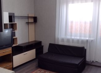 Сдаю в аренду квартиру студию, 28 м2, Краснодар, Домбайская улица, 59, микрорайон Губернский