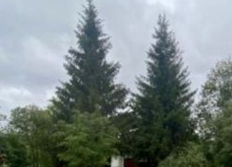 Продам дом, 75 м2, деревня Подорки, деревня Подорки, 20