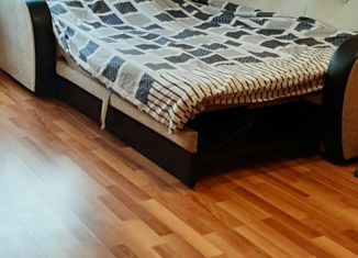 Аренда однокомнатной квартиры, 30 м2, Екатеринбург, улица Ломоносова, 61, метро Проспект Космонавтов