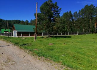 Продажа участка, 20 сот., село Тулой, Центральная улица