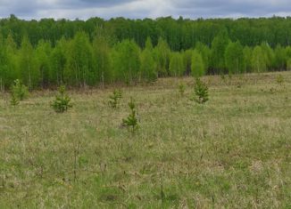 Продается земельный участок, 100 сот., СНТ Мысы