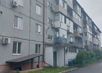 Продается 3-комнатная квартира, 63 м2, Партизанск, Гоголевская улица, 9