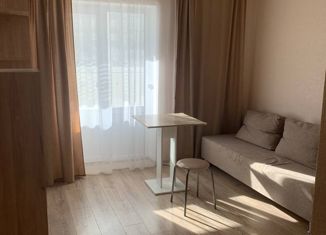 Продажа квартиры студии, 21.35 м2, посёлок Отрадное, Весенняя улица, 1А