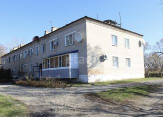 1-ком. квартира на продажу, 31.9 м2, село Гродеково, Воронежская улица, 7