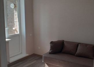 Аренда комнаты, 50 м2, посёлок Парголово, улица Шишкина, 303к1