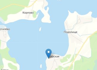 Продажа земельного участка, 25 сот., деревня Турская