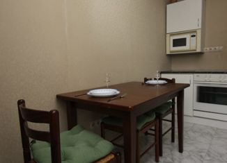 1-комнатная квартира в аренду, 45 м2, Новосибирск, улица Державина, 14, улица Державина